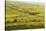 Vineyard Landscape, Near Bad Duerkheim, German Wine Route, Rhineland-Palatinate, Germany, Europe-Jochen Schlenker-Stretched Canvas