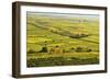 Vineyard Landscape, Near Bad Duerkheim, German Wine Route, Rhineland-Palatinate, Germany, Europe-Jochen Schlenker-Framed Photographic Print