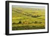 Vineyard Landscape, Near Bad Duerkheim, German Wine Route, Rhineland-Palatinate, Germany, Europe-Jochen Schlenker-Framed Photographic Print