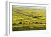 Vineyard Landscape, Near Bad Duerkheim, German Wine Route, Rhineland-Palatinate, Germany, Europe-Jochen Schlenker-Framed Photographic Print