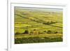 Vineyard Landscape, Near Bad Duerkheim, German Wine Route, Rhineland-Palatinate, Germany, Europe-Jochen Schlenker-Framed Photographic Print