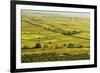 Vineyard Landscape, Near Bad Duerkheim, German Wine Route, Rhineland-Palatinate, Germany, Europe-Jochen Schlenker-Framed Photographic Print