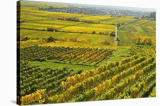 Vineyard Landscape, Near Bad Duerkheim, German Wine Route, Rhineland-Palatinate, Germany, Europe-Jochen Schlenker-Stretched Canvas