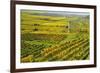 Vineyard Landscape, Near Bad Duerkheim, German Wine Route, Rhineland-Palatinate, Germany, Europe-Jochen Schlenker-Framed Photographic Print