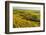 Vineyard Landscape, Near Bad Duerkheim, German Wine Route, Rhineland-Palatinate, Germany, Europe-Jochen Schlenker-Framed Photographic Print