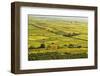 Vineyard Landscape, Near Bad Duerkheim, German Wine Route, Rhineland-Palatinate, Germany, Europe-Jochen Schlenker-Framed Photographic Print