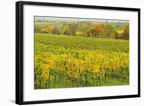 Vineyard Landscape, Near Neustadt, German Wine Route, Rhineland-Palatinate, Germany, Europe-Jochen Schlenker-Framed Photographic Print