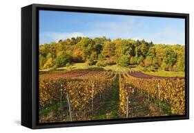 Vineyard Landscape, Near St. Martin, German Wine Route, Rhineland-Palatinate, Germany, Europe-Jochen Schlenker-Framed Stretched Canvas