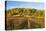 Vineyard Landscape, Near St. Martin, German Wine Route, Rhineland-Palatinate, Germany, Europe-Jochen Schlenker-Stretched Canvas