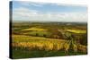 Vineyard Landscape, Near St. Martin, German Wine Route, Rhineland-Palatinate, Germany, Europe-Jochen Schlenker-Stretched Canvas