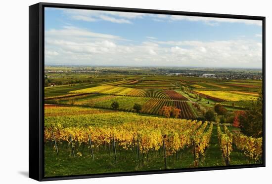 Vineyard Landscape, Near St. Martin, German Wine Route, Rhineland-Palatinate, Germany, Europe-Jochen Schlenker-Framed Stretched Canvas