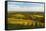 Vineyard Landscape, Near St. Martin, German Wine Route, Rhineland-Palatinate, Germany, Europe-Jochen Schlenker-Framed Stretched Canvas