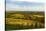 Vineyard Landscape, Near St. Martin, German Wine Route, Rhineland-Palatinate, Germany, Europe-Jochen Schlenker-Stretched Canvas