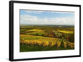 Vineyard Landscape, Near St. Martin, German Wine Route, Rhineland-Palatinate, Germany, Europe-Jochen Schlenker-Framed Photographic Print