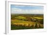 Vineyard Landscape, Near St. Martin, German Wine Route, Rhineland-Palatinate, Germany, Europe-Jochen Schlenker-Framed Photographic Print