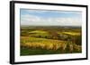 Vineyard Landscape, Near St. Martin, German Wine Route, Rhineland-Palatinate, Germany, Europe-Jochen Schlenker-Framed Photographic Print