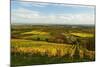 Vineyard Landscape, Near St. Martin, German Wine Route, Rhineland-Palatinate, Germany, Europe-Jochen Schlenker-Mounted Photographic Print