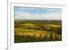 Vineyard Landscape, Near St. Martin, German Wine Route, Rhineland-Palatinate, Germany, Europe-Jochen Schlenker-Framed Photographic Print