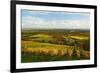 Vineyard Landscape, Near St. Martin, German Wine Route, Rhineland-Palatinate, Germany, Europe-Jochen Schlenker-Framed Photographic Print