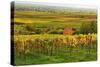 Vineyard Landscape, Near St. Martin, German Wine Route, Rhineland-Palatinate, Germany, Europe-Jochen Schlenker-Stretched Canvas