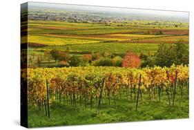 Vineyard Landscape, Near St. Martin, German Wine Route, Rhineland-Palatinate, Germany, Europe-Jochen Schlenker-Stretched Canvas