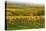 Vineyard Landscape, Near St. Martin, German Wine Route, Rhineland-Palatinate, Germany, Europe-Jochen Schlenker-Stretched Canvas