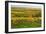 Vineyard Landscape, Near St. Martin, German Wine Route, Rhineland-Palatinate, Germany, Europe-Jochen Schlenker-Framed Photographic Print