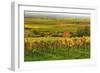 Vineyard Landscape, Near St. Martin, German Wine Route, Rhineland-Palatinate, Germany, Europe-Jochen Schlenker-Framed Photographic Print