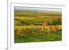 Vineyard Landscape, Near St. Martin, German Wine Route, Rhineland-Palatinate, Germany, Europe-Jochen Schlenker-Framed Photographic Print