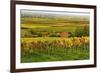 Vineyard Landscape, Near St. Martin, German Wine Route, Rhineland-Palatinate, Germany, Europe-Jochen Schlenker-Framed Photographic Print