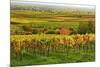 Vineyard Landscape, Near St. Martin, German Wine Route, Rhineland-Palatinate, Germany, Europe-Jochen Schlenker-Mounted Photographic Print