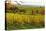 Vineyard Landscape, Near St. Martin, German Wine Route, Rhineland-Palatinate, Germany, Europe-Jochen Schlenker-Stretched Canvas