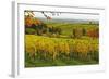 Vineyard Landscape, Near St. Martin, German Wine Route, Rhineland-Palatinate, Germany, Europe-Jochen Schlenker-Framed Photographic Print