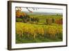 Vineyard Landscape, Near St. Martin, German Wine Route, Rhineland-Palatinate, Germany, Europe-Jochen Schlenker-Framed Photographic Print