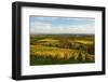 Vineyard Landscape, Near St. Martin, German Wine Route, Rhineland-Palatinate, Germany, Europe-Jochen Schlenker-Framed Photographic Print