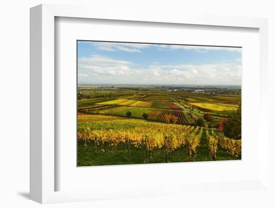 Vineyard Landscape, Near St. Martin, German Wine Route, Rhineland-Palatinate, Germany, Europe-Jochen Schlenker-Framed Photographic Print