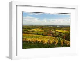 Vineyard Landscape, Near St. Martin, German Wine Route, Rhineland-Palatinate, Germany, Europe-Jochen Schlenker-Framed Photographic Print