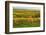 Vineyard Landscape, Near St. Martin, German Wine Route, Rhineland-Palatinate, Germany, Europe-Jochen Schlenker-Framed Photographic Print