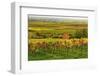 Vineyard Landscape, Near St. Martin, German Wine Route, Rhineland-Palatinate, Germany, Europe-Jochen Schlenker-Framed Photographic Print