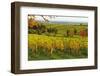 Vineyard Landscape, Near St. Martin, German Wine Route, Rhineland-Palatinate, Germany, Europe-Jochen Schlenker-Framed Photographic Print