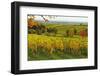 Vineyard Landscape, Near St. Martin, German Wine Route, Rhineland-Palatinate, Germany, Europe-Jochen Schlenker-Framed Photographic Print