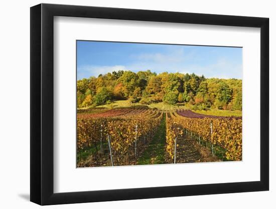 Vineyard Landscape, Near St. Martin, German Wine Route, Rhineland-Palatinate, Germany, Europe-Jochen Schlenker-Framed Photographic Print