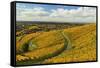 Vineyard Landscape, Ortenau, Baden Wine Route, Baden-Wurttemberg, Germany, Europe-Jochen Schlenker-Framed Stretched Canvas