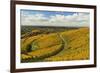 Vineyard Landscape, Ortenau, Baden Wine Route, Baden-Wurttemberg, Germany, Europe-Jochen Schlenker-Framed Photographic Print