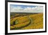 Vineyard Landscape, Ortenau, Baden Wine Route, Baden-Wurttemberg, Germany, Europe-Jochen Schlenker-Framed Photographic Print