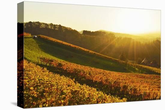 Vineyard Landscape, Ortenau, Baden Wine Route, Baden-Wurttemberg, Germany, Europe-Jochen Schlenker-Stretched Canvas