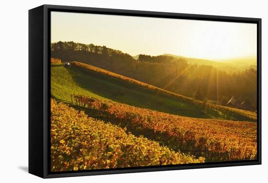 Vineyard Landscape, Ortenau, Baden Wine Route, Baden-Wurttemberg, Germany, Europe-Jochen Schlenker-Framed Stretched Canvas