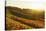 Vineyard Landscape, Ortenau, Baden Wine Route, Baden-Wurttemberg, Germany, Europe-Jochen Schlenker-Stretched Canvas