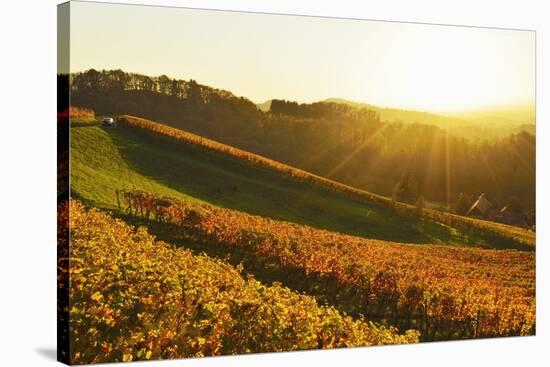 Vineyard Landscape, Ortenau, Baden Wine Route, Baden-Wurttemberg, Germany, Europe-Jochen Schlenker-Stretched Canvas