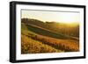 Vineyard Landscape, Ortenau, Baden Wine Route, Baden-Wurttemberg, Germany, Europe-Jochen Schlenker-Framed Photographic Print